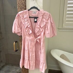 The Reset Pink Ruffled Mini Dress